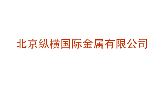北京縱橫國(guó)際金屬有限公司企業(yè)戰(zhàn)略、組織結(jié)構(gòu)及流程再造管理咨詢